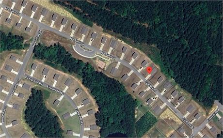 106  IVY BANK DR, ANGIER, NC 27501 - #403134