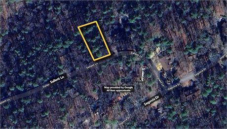 0.30+/-Acres on Sallent Lane, Hot Springs Village, AR 71909 - #402216