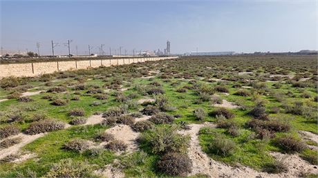 Latitude:  40.386 Longitude: 49.54, Baku, Azerbaijan - #404169