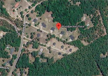 189  WOODPECKER PLACE, RAEFORD, NC 28376 - #403795