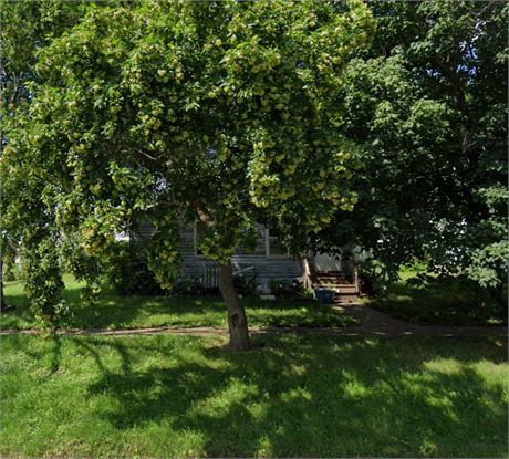 308 LONG ST, ROYAL, IA 51357 - #400839