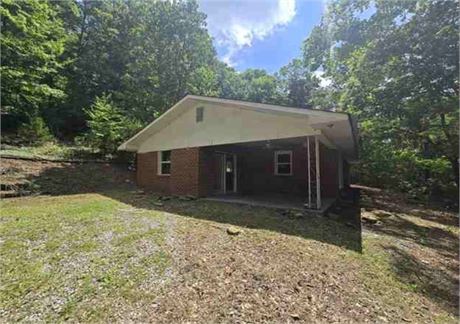 260 COLLINS ST, SNEEDVILLE, TN 37869 - #402415