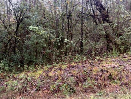 5348 SPRUCE ST, GARDENDALE, AL 35071 - #403119