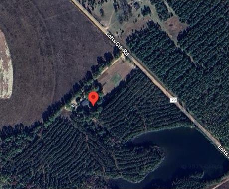 314 Lotts Creek Rd, GLENWOOD, GA 30428 - #402295