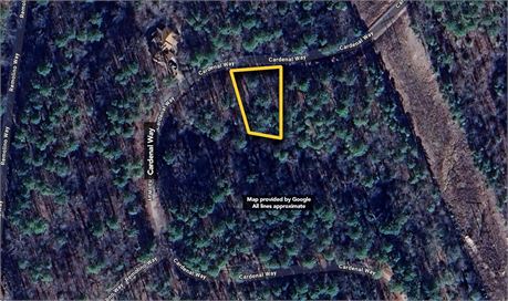 0.26+/- Acres on Cardenal Way, Hot Springs Village, AR 71909 - #402215