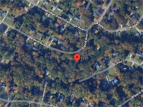 1231 DAVID AVENUE, HENDERSON, NC 27536 - #403324